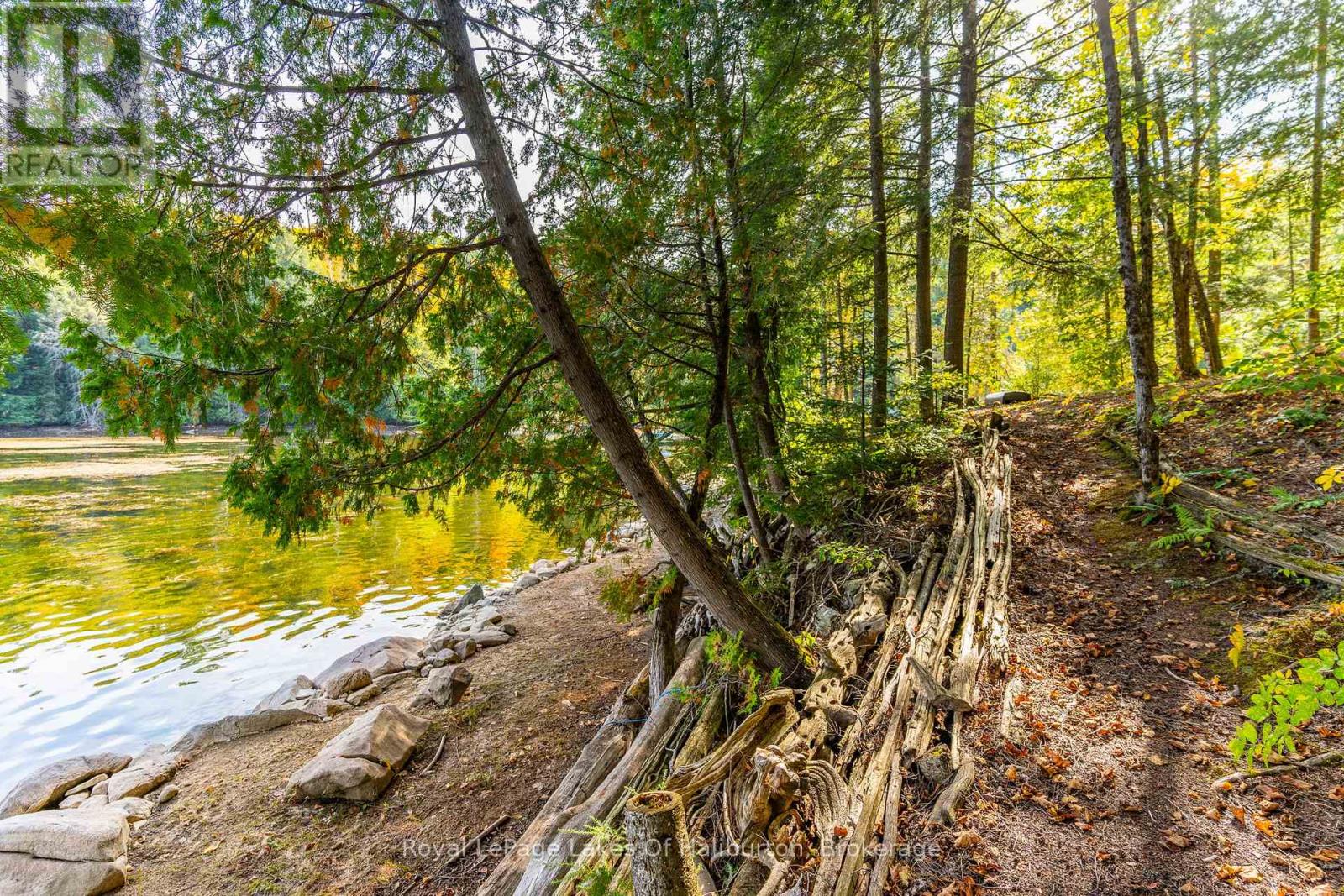 48 Russell Drive, Trent Lakes, Ontario  K0M 2A0 - Photo 46 - X12075615