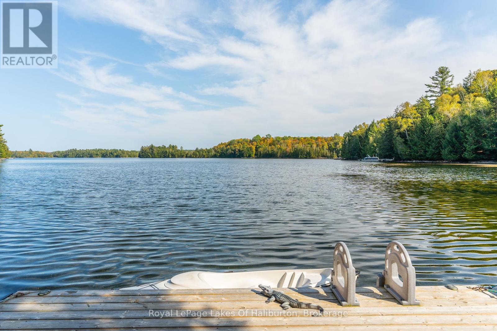 48 Russell Drive, Trent Lakes, Ontario  K0M 2A0 - Photo 5 - X12075615
