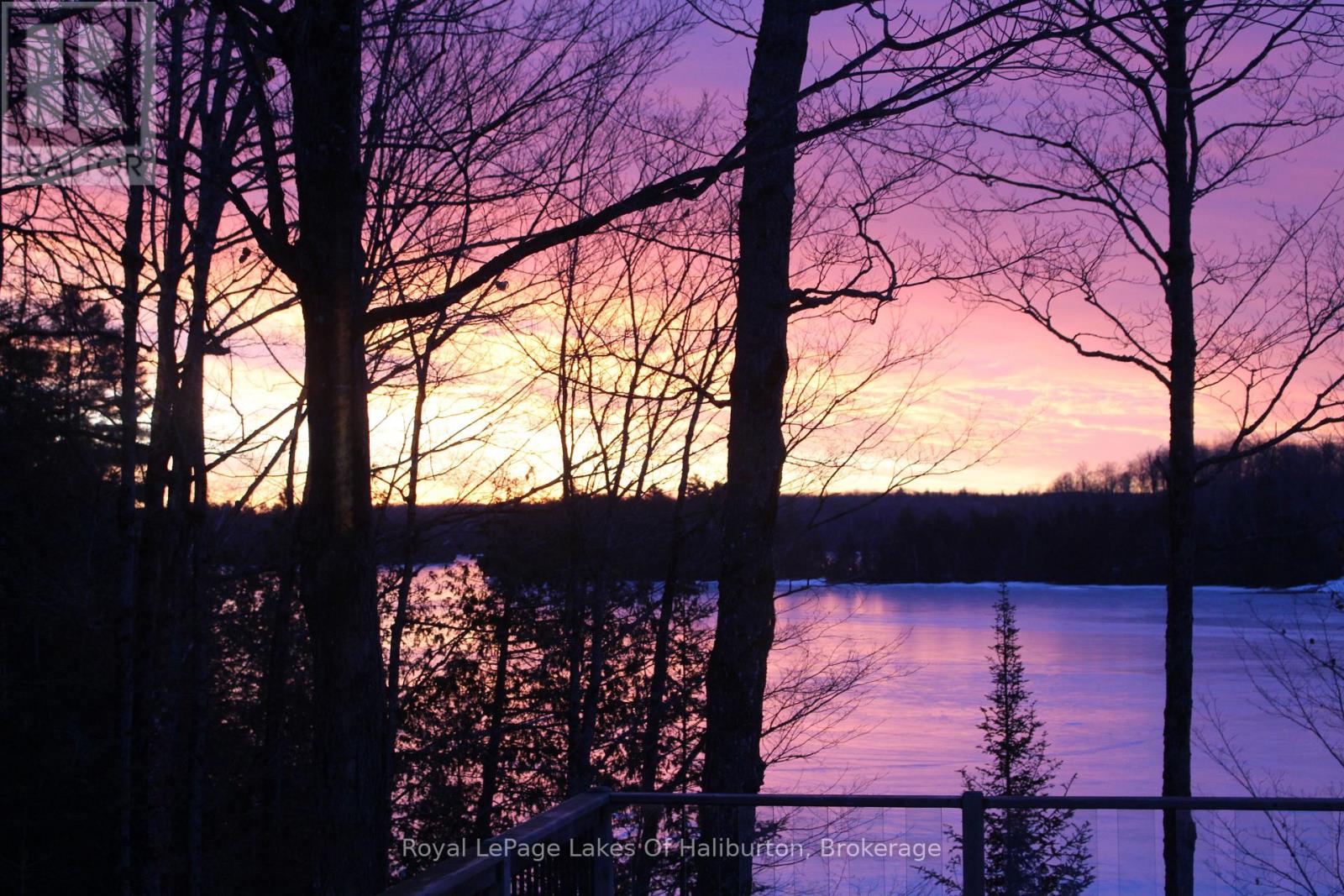 48 Russell Drive, Trent Lakes, Ontario  K0M 2A0 - Photo 6 - X12075615