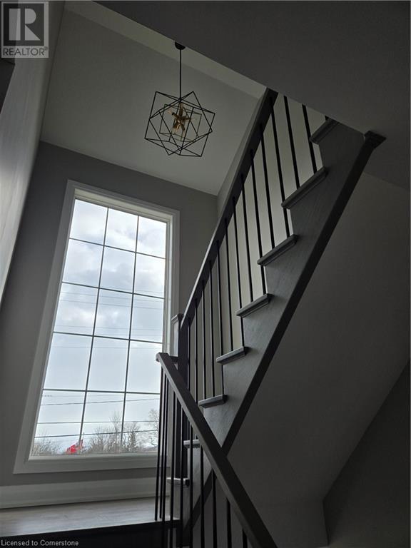 Property at 41 AMELIA Street image 2