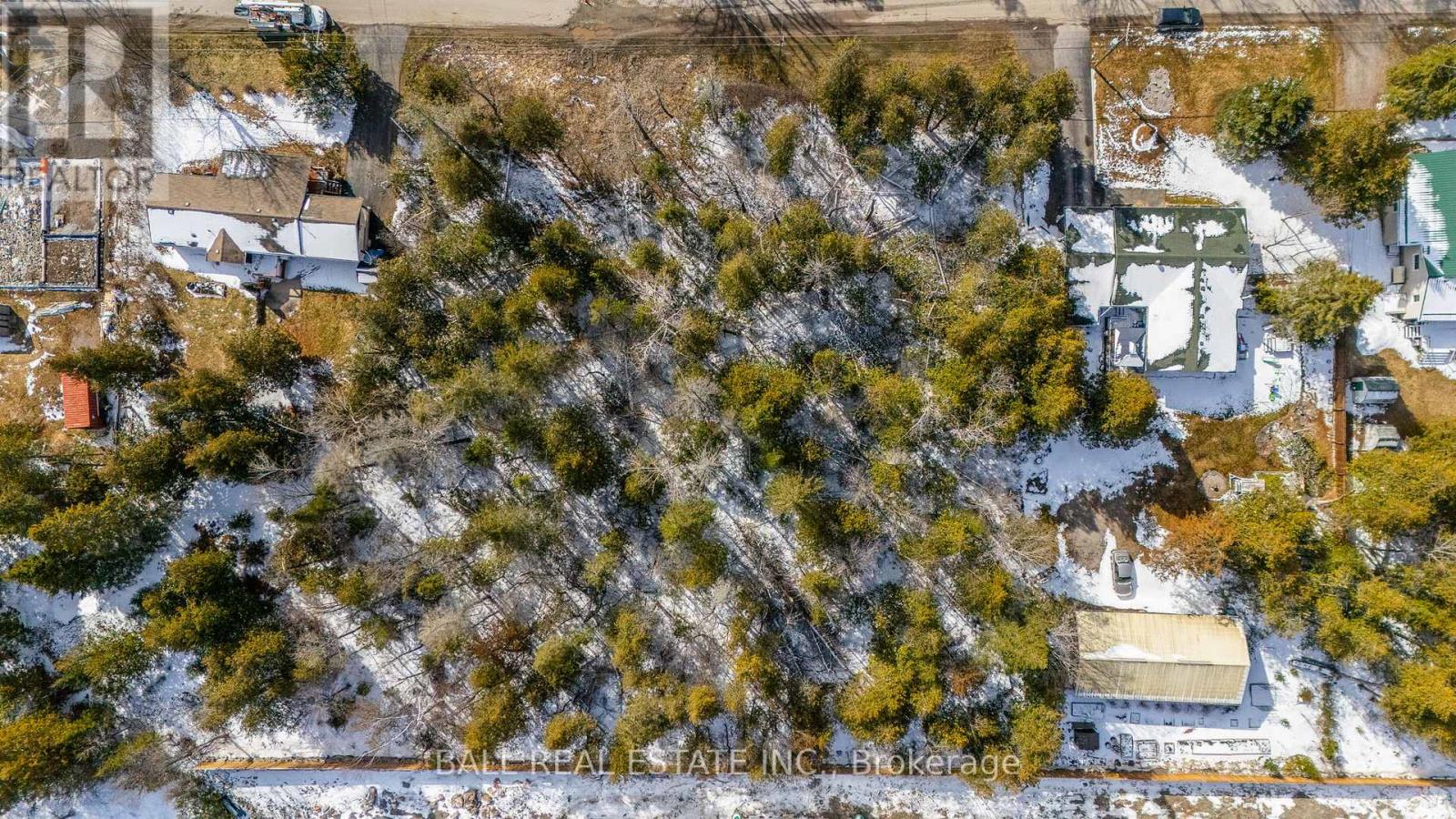 215 Front Street W, Kawartha Lakes, Ontario  K0M 1A0 - Photo 10 - X12081004