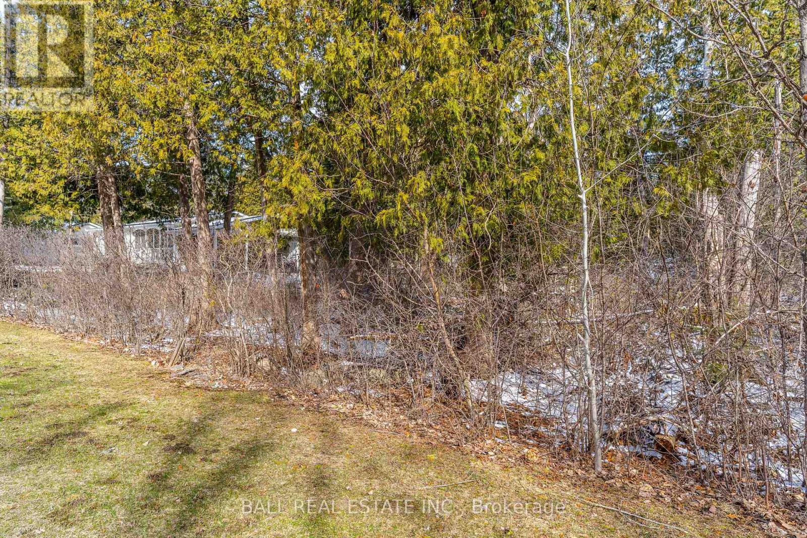 215 Front Street W, Kawartha Lakes, Ontario  K0M 1A0 - Photo 6 - X12081004