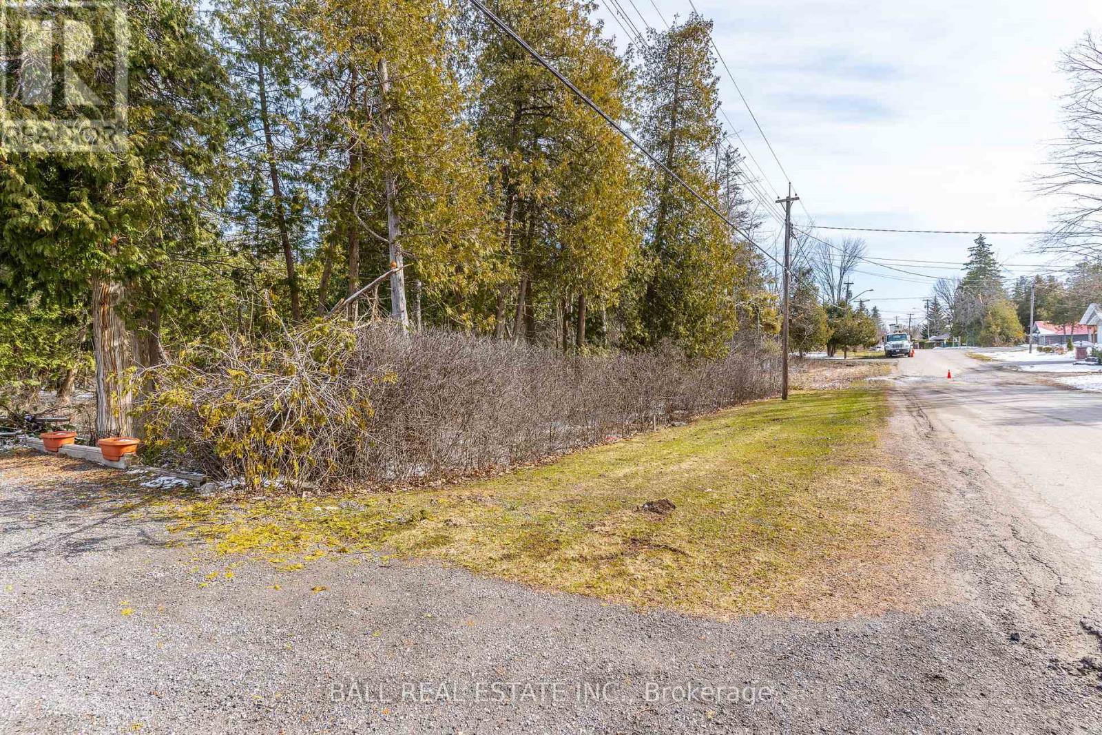 215 Front Street W, Kawartha Lakes, Ontario  K0M 1A0 - Photo 7 - X12081004