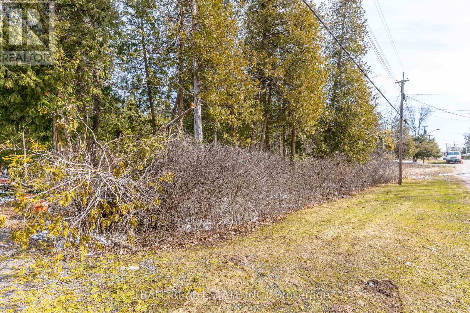 215 Front Street W, Kawartha Lakes, Ontario  K0M 1A0 - Photo 8 - X12081004