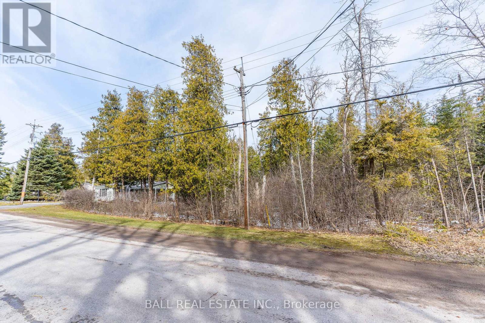 215 Front Street W, Kawartha Lakes, Ontario  K0M 1A0 - Photo 9 - X12081004