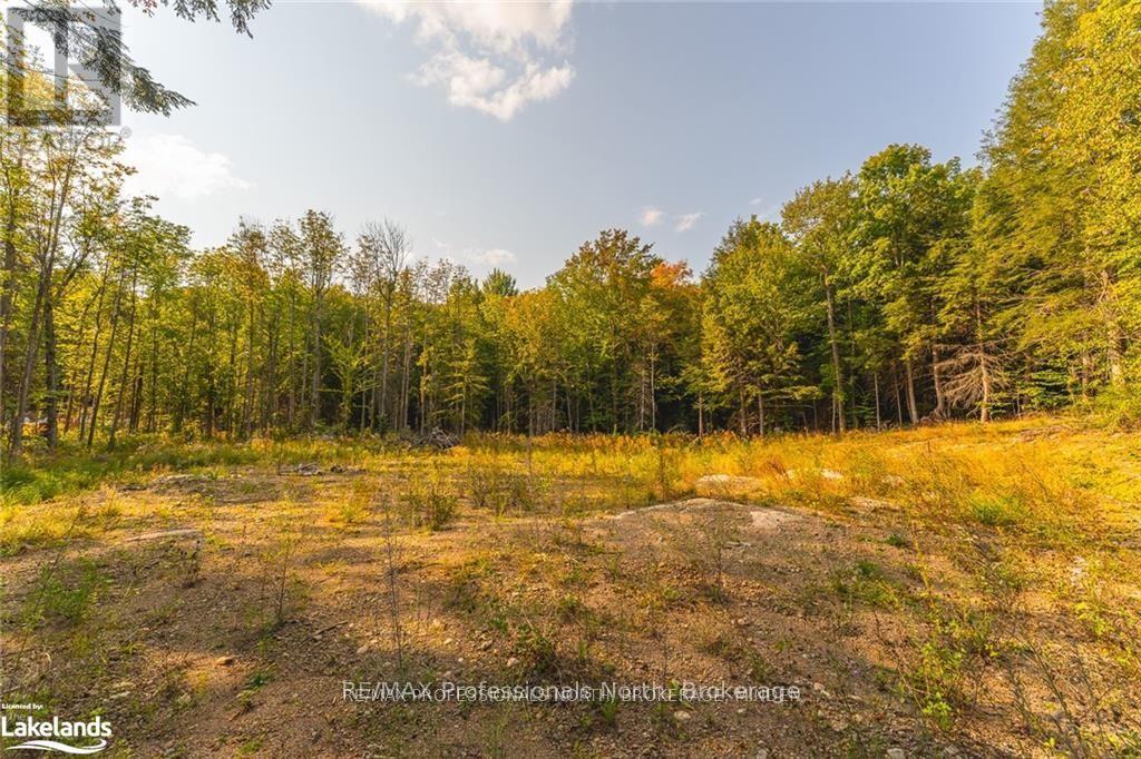 1205 Little Hawk Lake Road, Algonquin Highlands, Ontario  K0M 1J2 - Photo 11 - X12081012