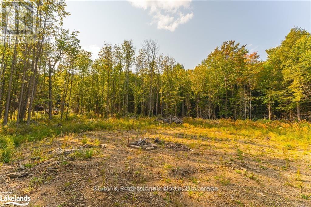 1205 Little Hawk Lake Road, Algonquin Highlands, Ontario  K0M 1J2 - Photo 12 - X12081012