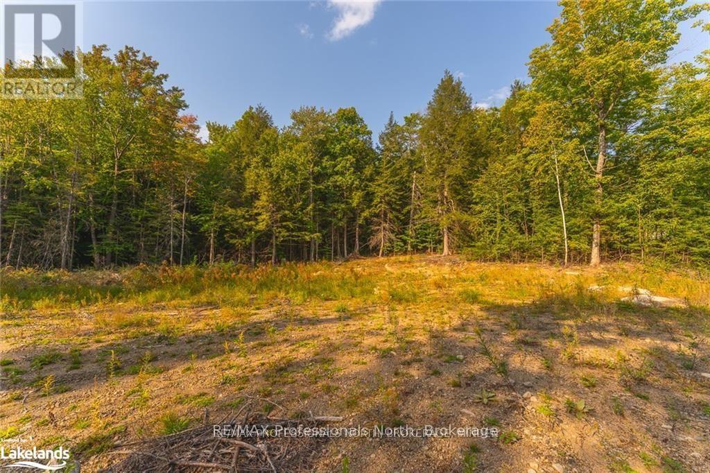 1205 Little Hawk Lake Road, Algonquin Highlands, Ontario  K0M 1J2 - Photo 13 - X12081012