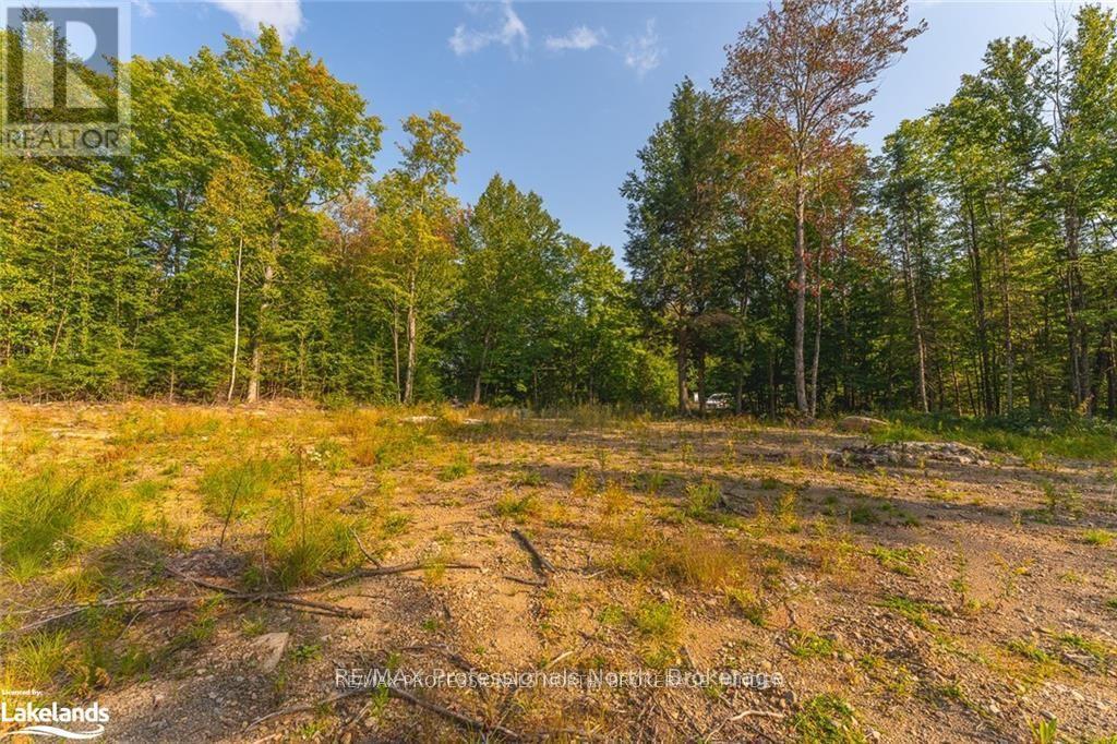 1205 Little Hawk Lake Road, Algonquin Highlands, Ontario  K0M 1J2 - Photo 14 - X12081012