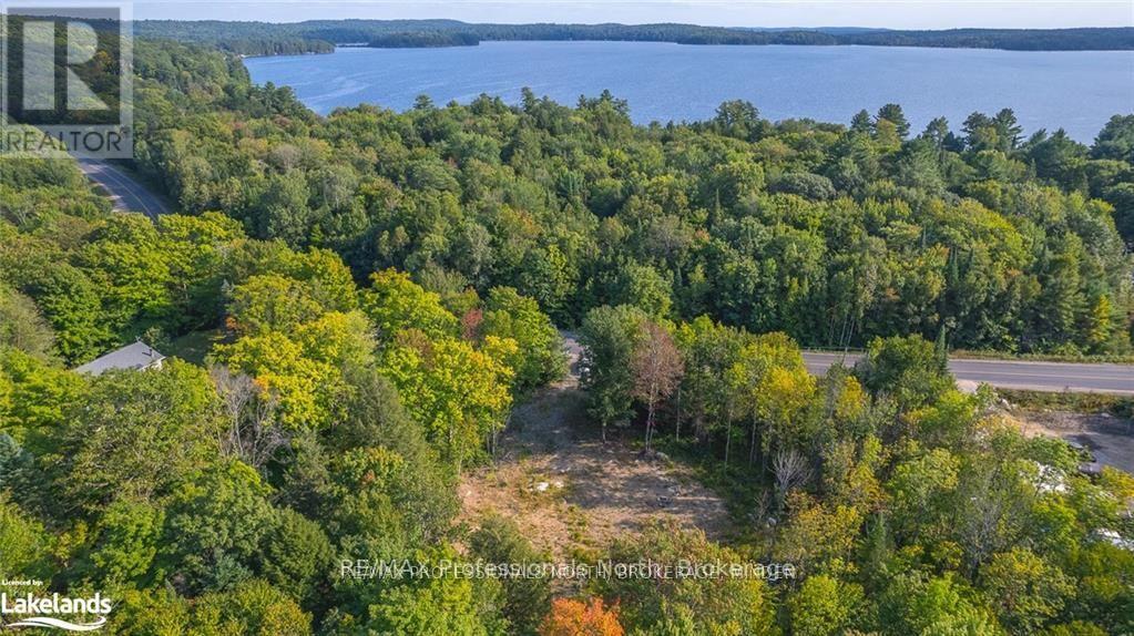 1205 Little Hawk Lake Road, Algonquin Highlands, Ontario  K0M 1J2 - Photo 6 - X12081012