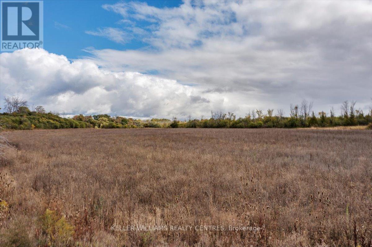 849 Trivetts Road, Georgina, Ontario  L4P 0S2 - Photo 40 - N11989638