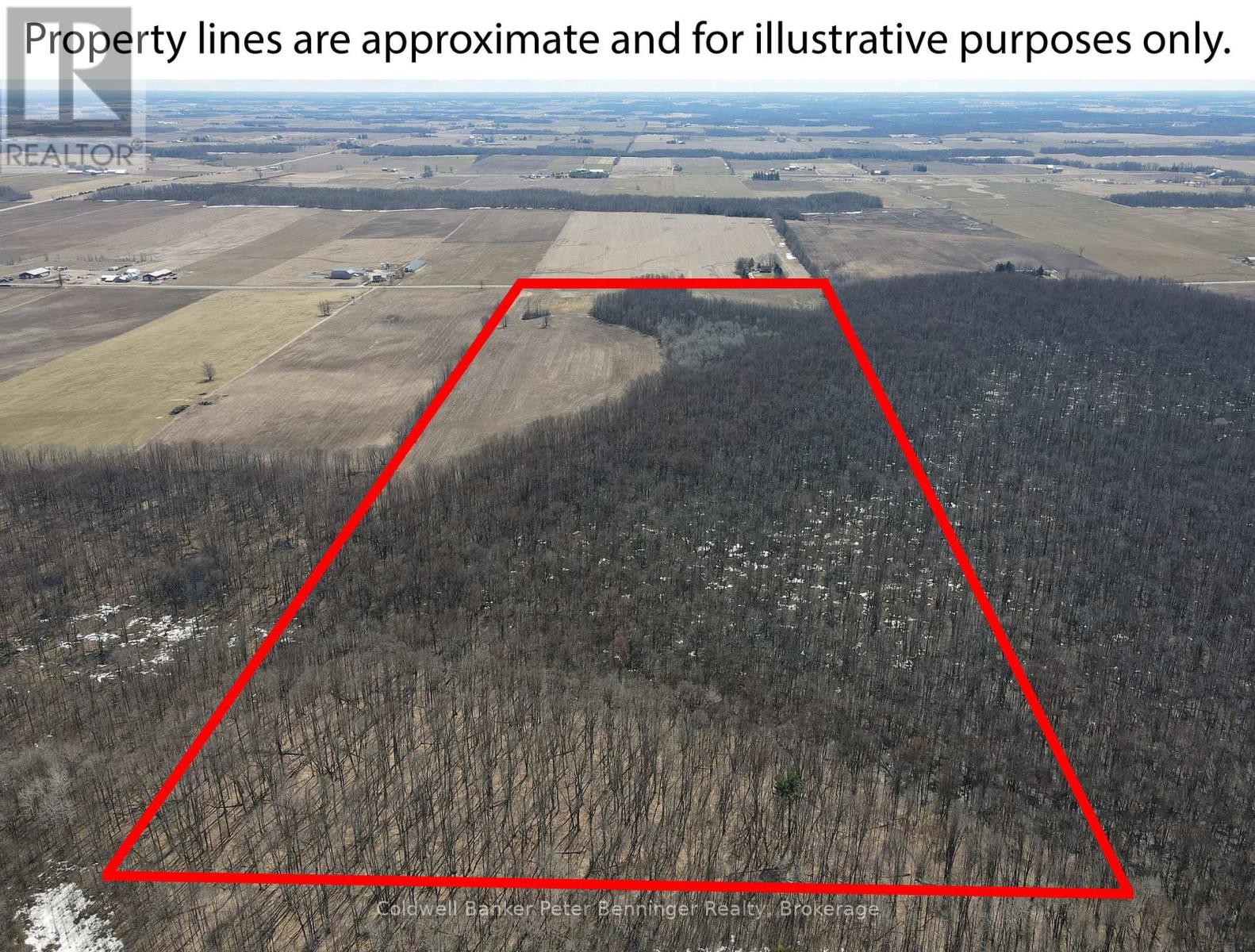 Lot 12 7 Concession, Arran-Elderslie, Ontario  N0G 2J0 - Photo 5 - X12081137
