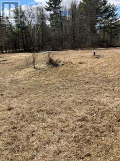 Property at 0 BATHURST 6TH CONCESSION image 3
