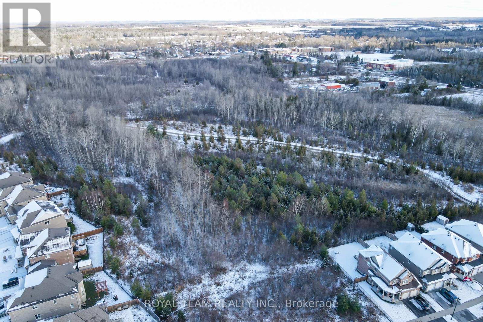 61 Lampkin Street, Georgina, Ontario  L0E 1R0 - Photo 23 - N12081125