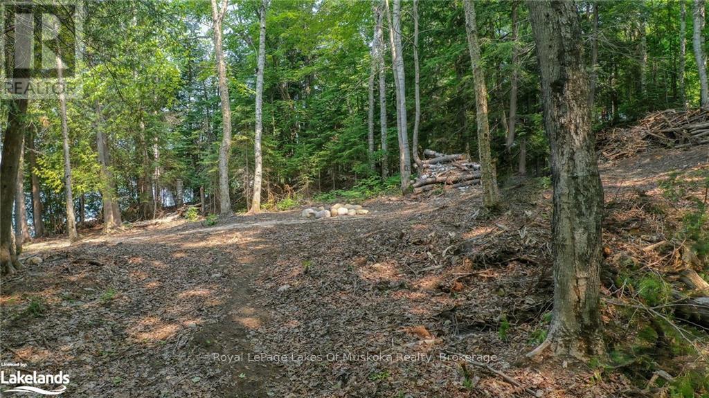 0 Balsam Drive, Kearney, Ontario  P0A 1M0 - Photo 12 - X12081201