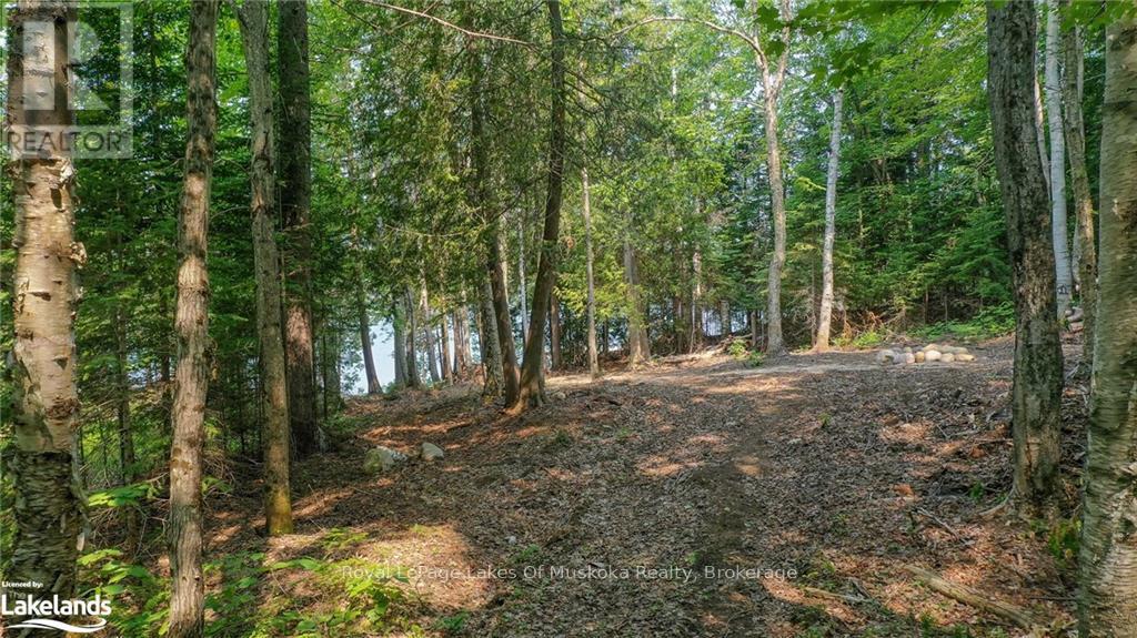 0 Balsam Drive, Kearney, Ontario  P0A 1M0 - Photo 16 - X12081201