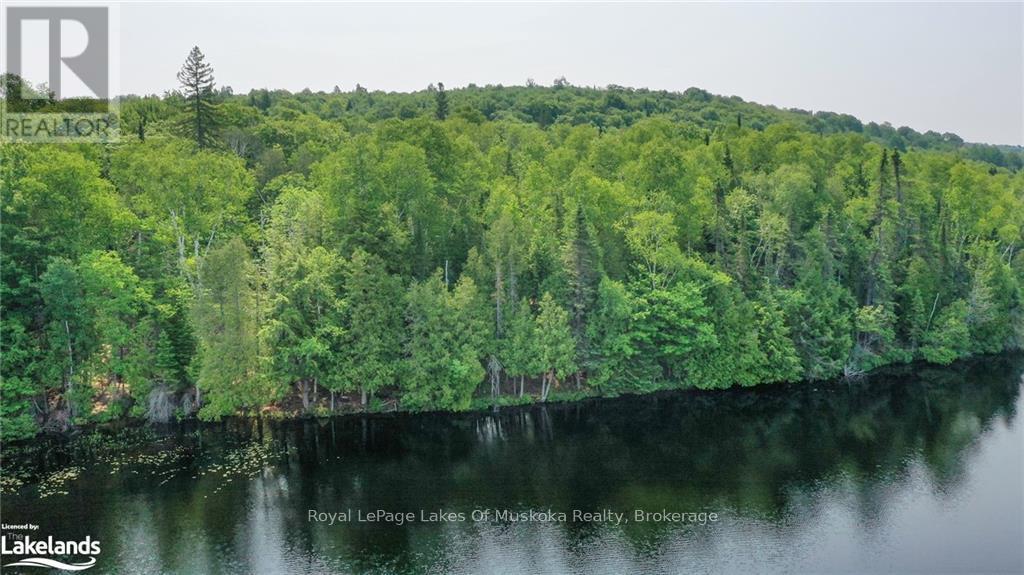 0 Balsam Drive, Kearney, Ontario  P0A 1M0 - Photo 2 - X12081201