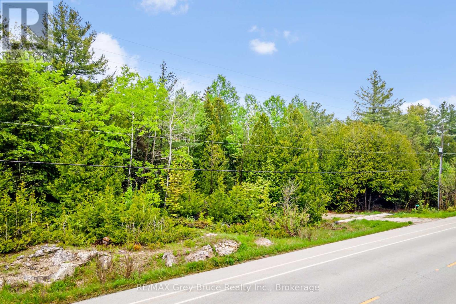 6726 Highway 6, Northern Bruce Peninsula, Ontario  N0H 2R0 - Photo 4 - X11955886