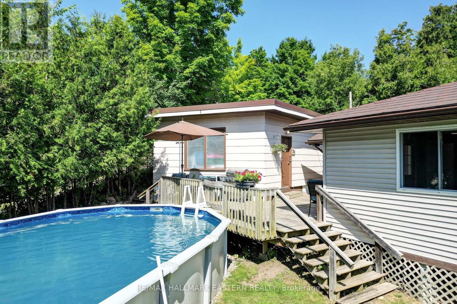 169 East Street, Selwyn, Ontario  K9J 0C5 - Photo 23 - X9056207