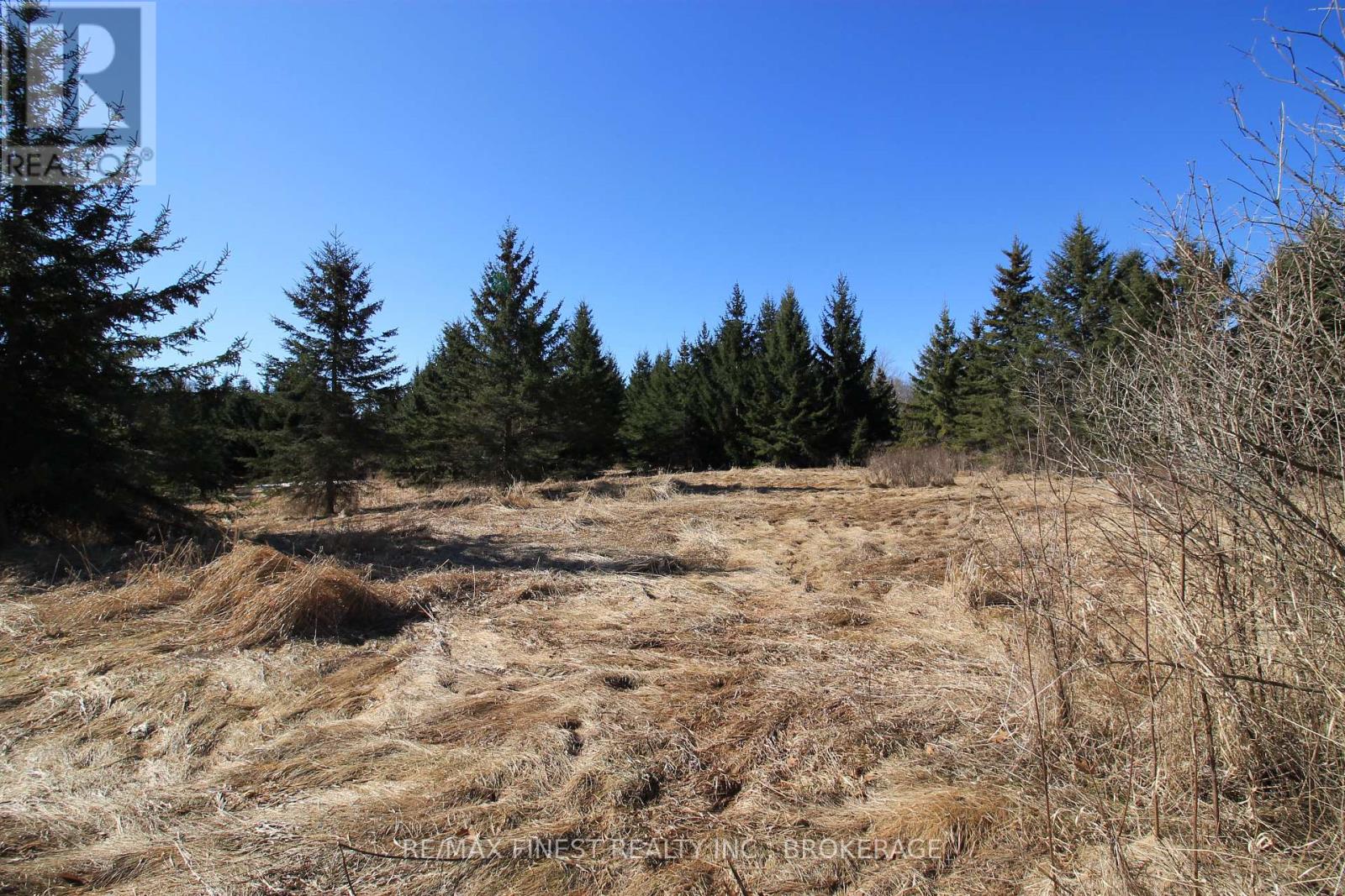 Lot 7 B Highway 2, Front Of Leeds & Seeleys Bay, Ontario  K7G 2V5 - Photo 8 - X12080804