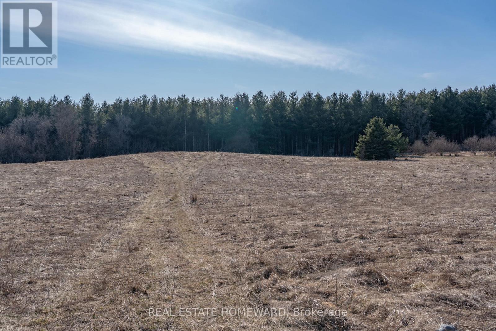 1430 County Rd 50 S, Adjala-Tosorontio, Ontario  L0N 1P0 - Photo 3 - N9362823