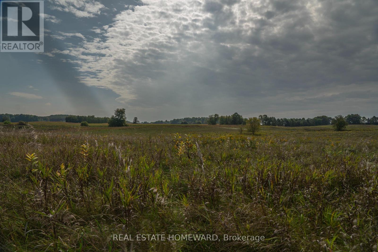 1430 County Rd 50 S, Adjala-Tosorontio, Ontario  L0N 1P0 - Photo 6 - N9362823