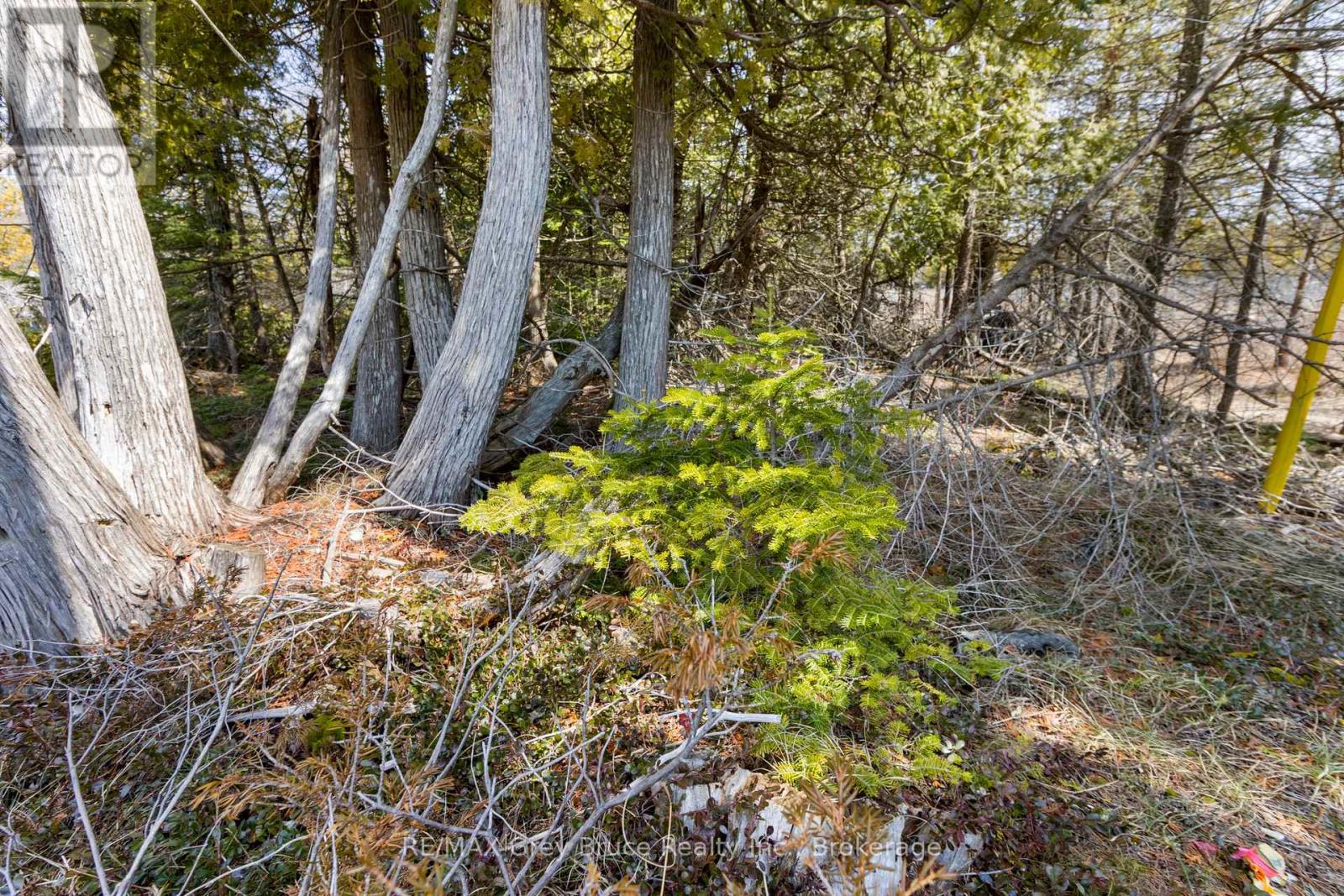 Lot 242 Pedwell Drive, Northern Bruce Peninsula, Ontario  N0H 2R0 - Photo 14 - X12081324