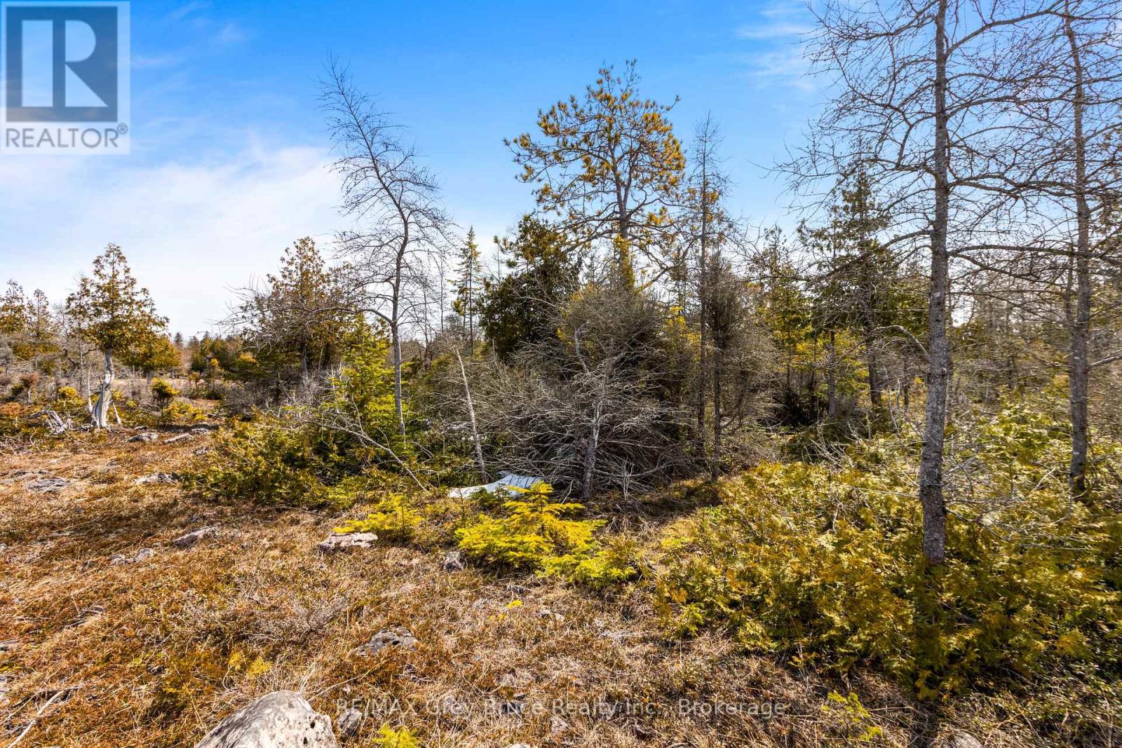 Lot 242 Pedwell Drive, Northern Bruce Peninsula, Ontario  N0H 2R0 - Photo 17 - X12081324