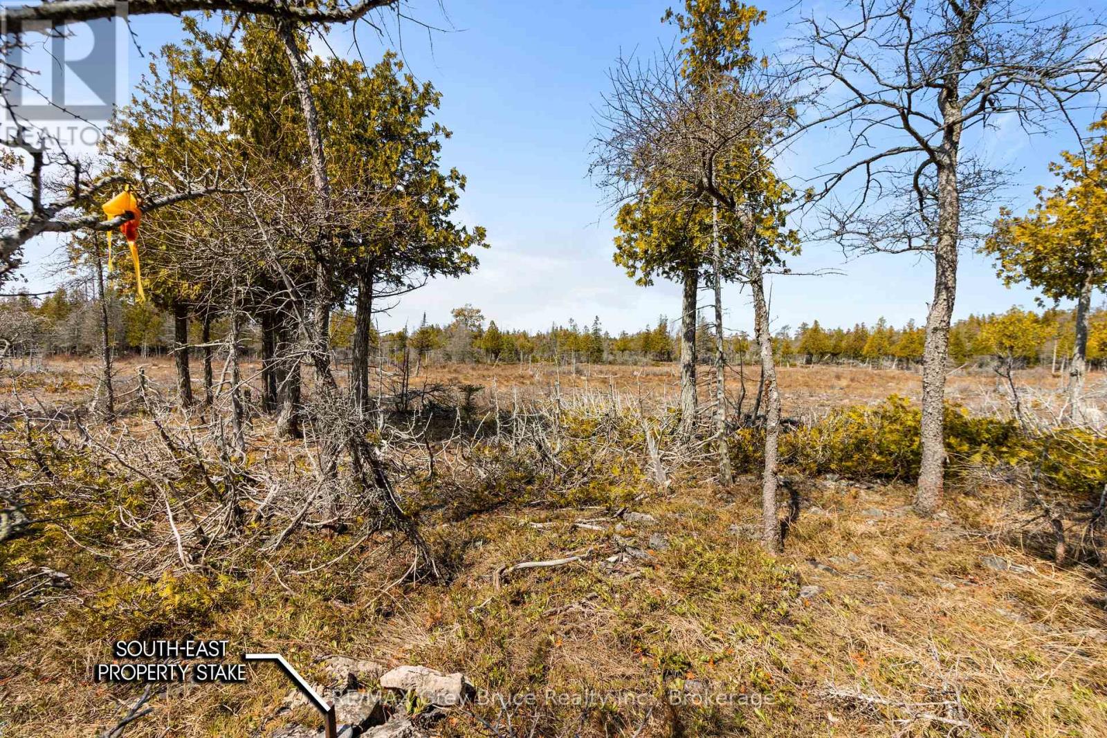 Lot 242 Pedwell Drive, Northern Bruce Peninsula, Ontario  N0H 2R0 - Photo 23 - X12081324