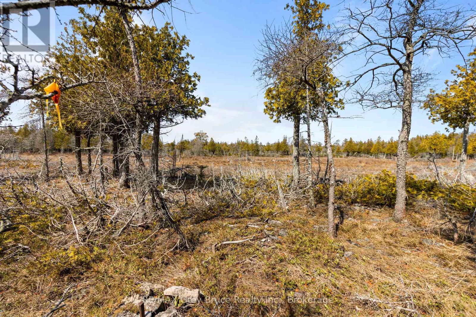 Lot 242 Pedwell Drive, Northern Bruce Peninsula, Ontario  N0H 2R0 - Photo 24 - X12081324