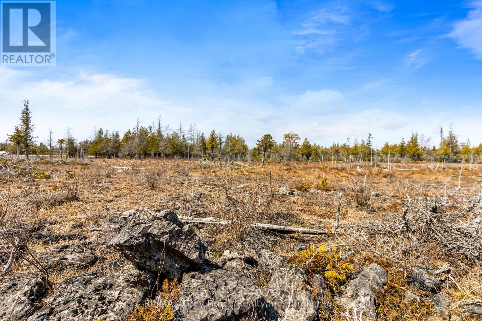 Lot 242 Pedwell Drive, Northern Bruce Peninsula, Ontario  N0H 2R0 - Photo 26 - X12081324