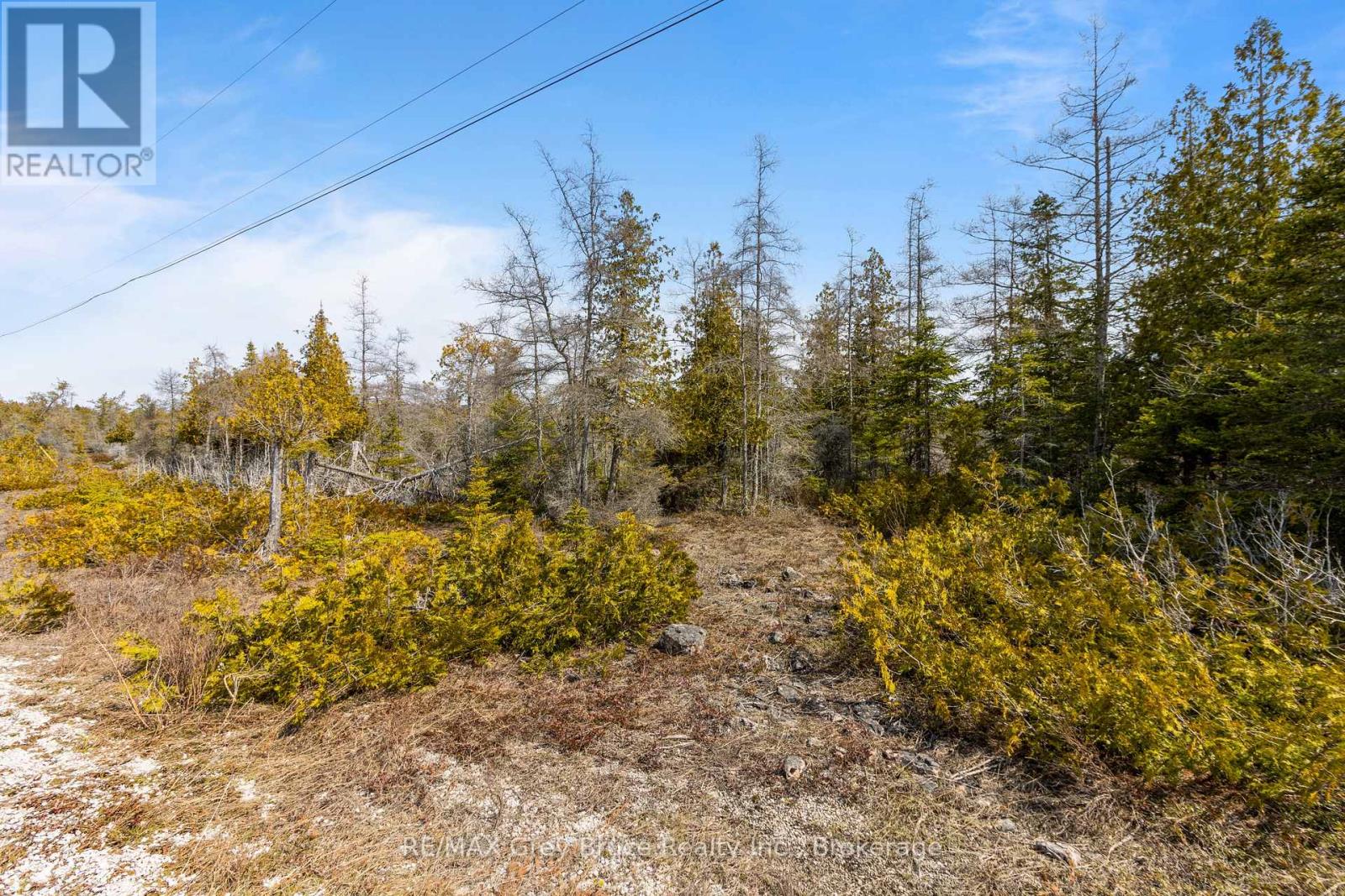 Lot 242 Pedwell Drive, Northern Bruce Peninsula, Ontario  N0H 2R0 - Photo 28 - X12081324