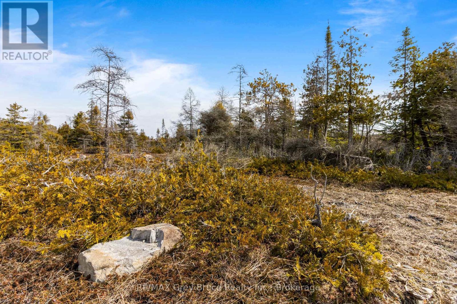 Lot 242 Pedwell Drive, Northern Bruce Peninsula, Ontario  N0H 2R0 - Photo 29 - X12081324