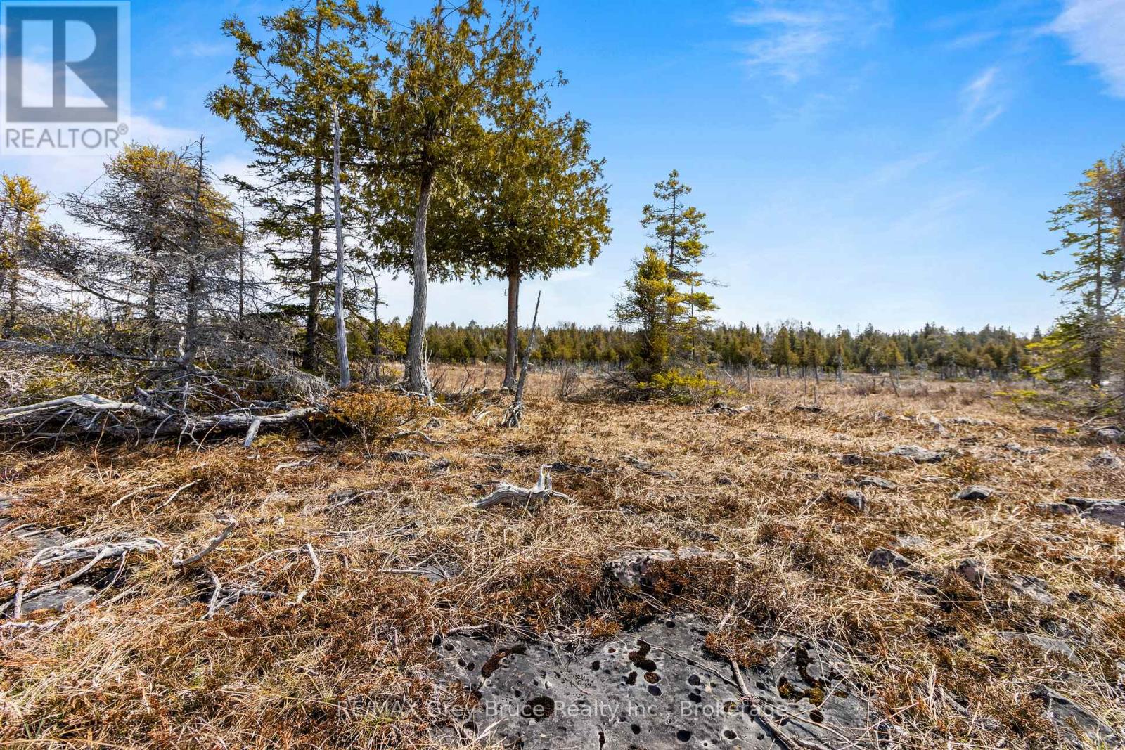Lot 242 Pedwell Drive, Northern Bruce Peninsula, Ontario  N0H 2R0 - Photo 3 - X12081324