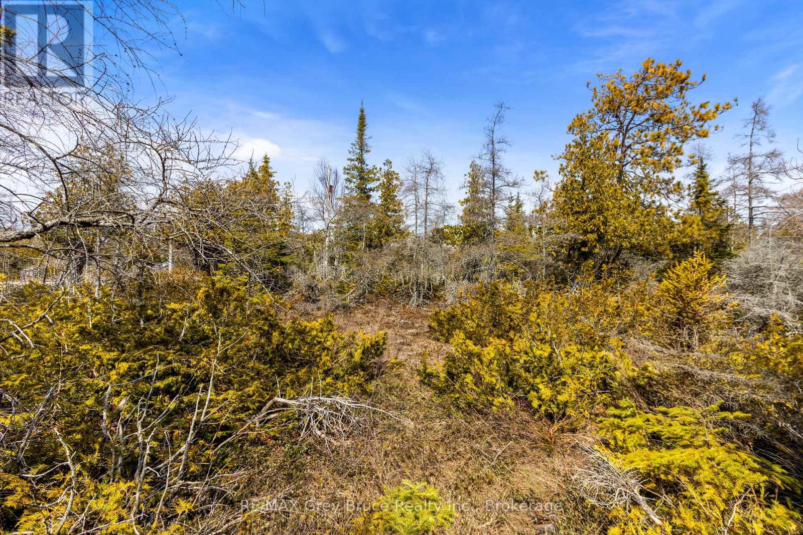 Lot 242 Pedwell Drive, Northern Bruce Peninsula, Ontario  N0H 2R0 - Photo 30 - X12081324