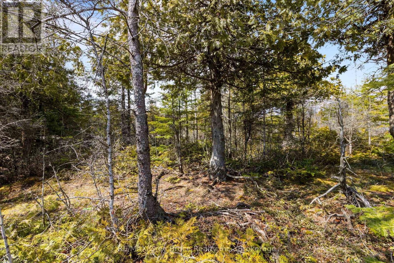 Lot 242 Pedwell Drive, Northern Bruce Peninsula, Ontario  N0H 2R0 - Photo 31 - X12081324