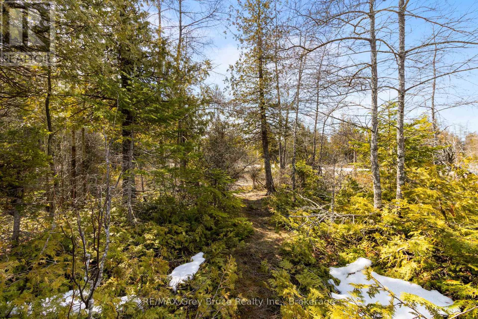 Lot 242 Pedwell Drive, Northern Bruce Peninsula, Ontario  N0H 2R0 - Photo 33 - X12081324