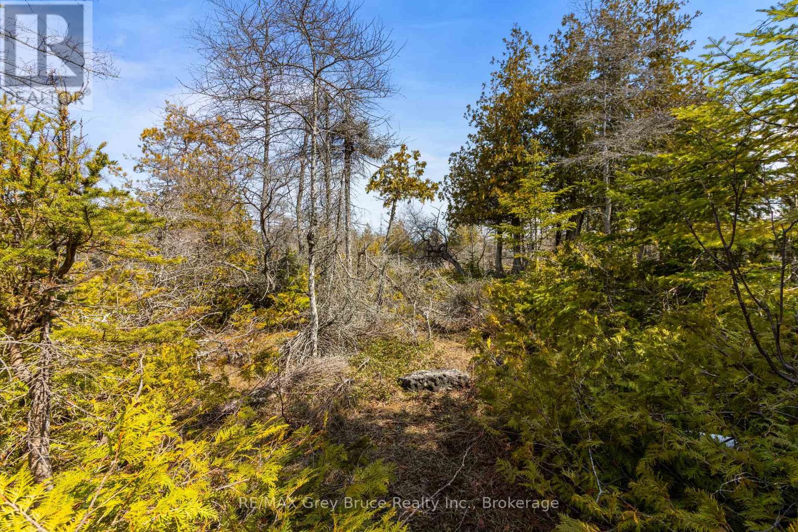 Lot 242 Pedwell Drive, Northern Bruce Peninsula, Ontario  N0H 2R0 - Photo 34 - X12081324