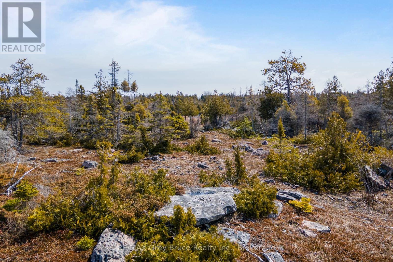Lot 242 Pedwell Drive, Northern Bruce Peninsula, Ontario  N0H 2R0 - Photo 4 - X12081324