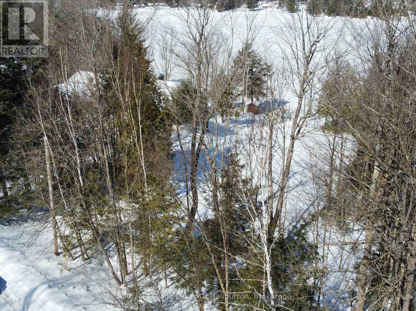 0 Kashagawigamog Lake Road, Dysart Et Al, Ontario  K0M 1S0 - Photo 11 - X12012278