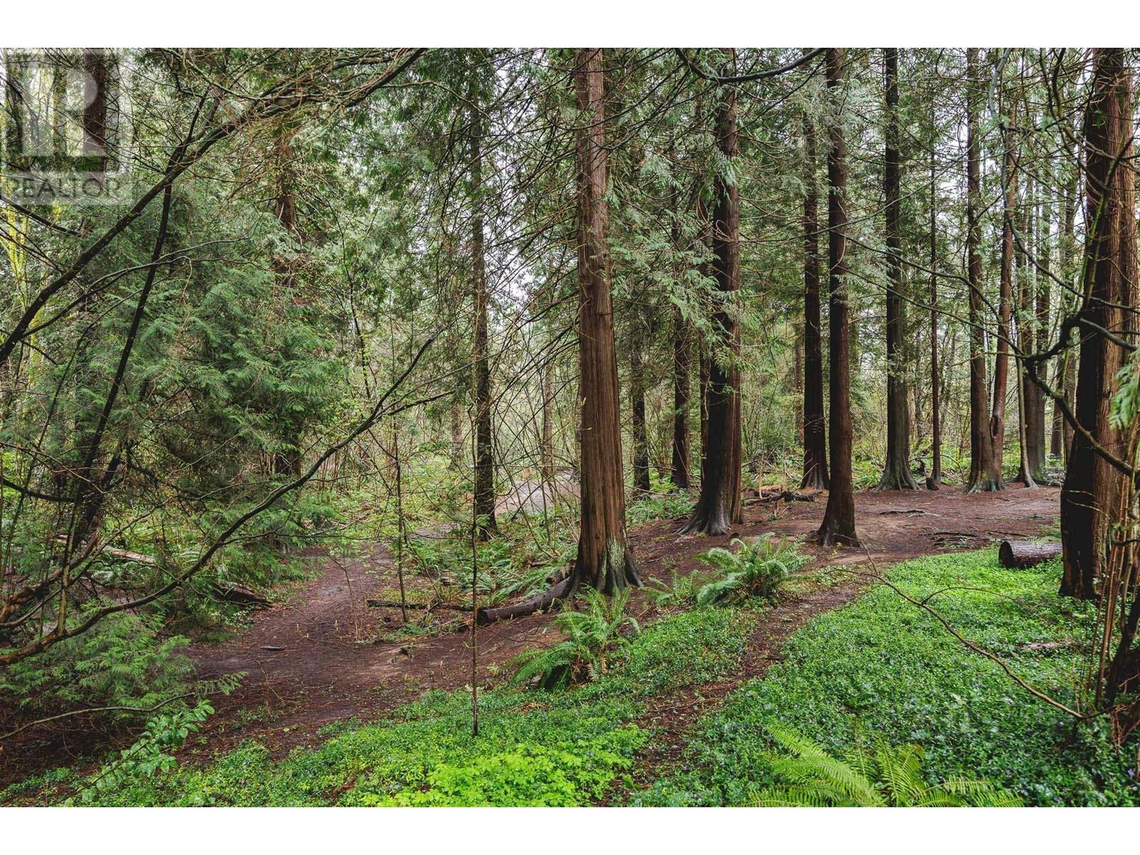 407 2059 Chesterfield Avenue, North Vancouver, British Columbia  V7M 2P4 - Photo 40 - R2987714