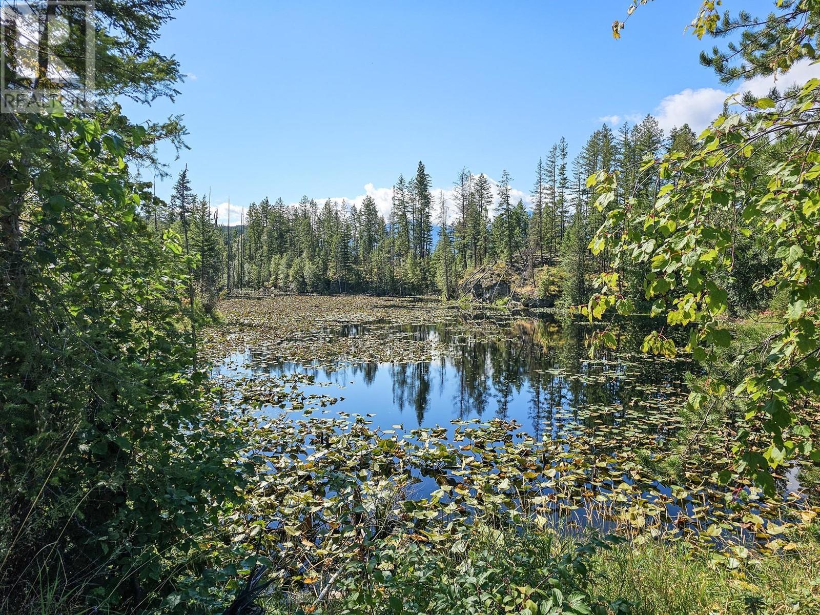 Lot 10 3a Highway, Crawford Bay, British Columbia  V0B 1E0 - Photo 3 - 10343289