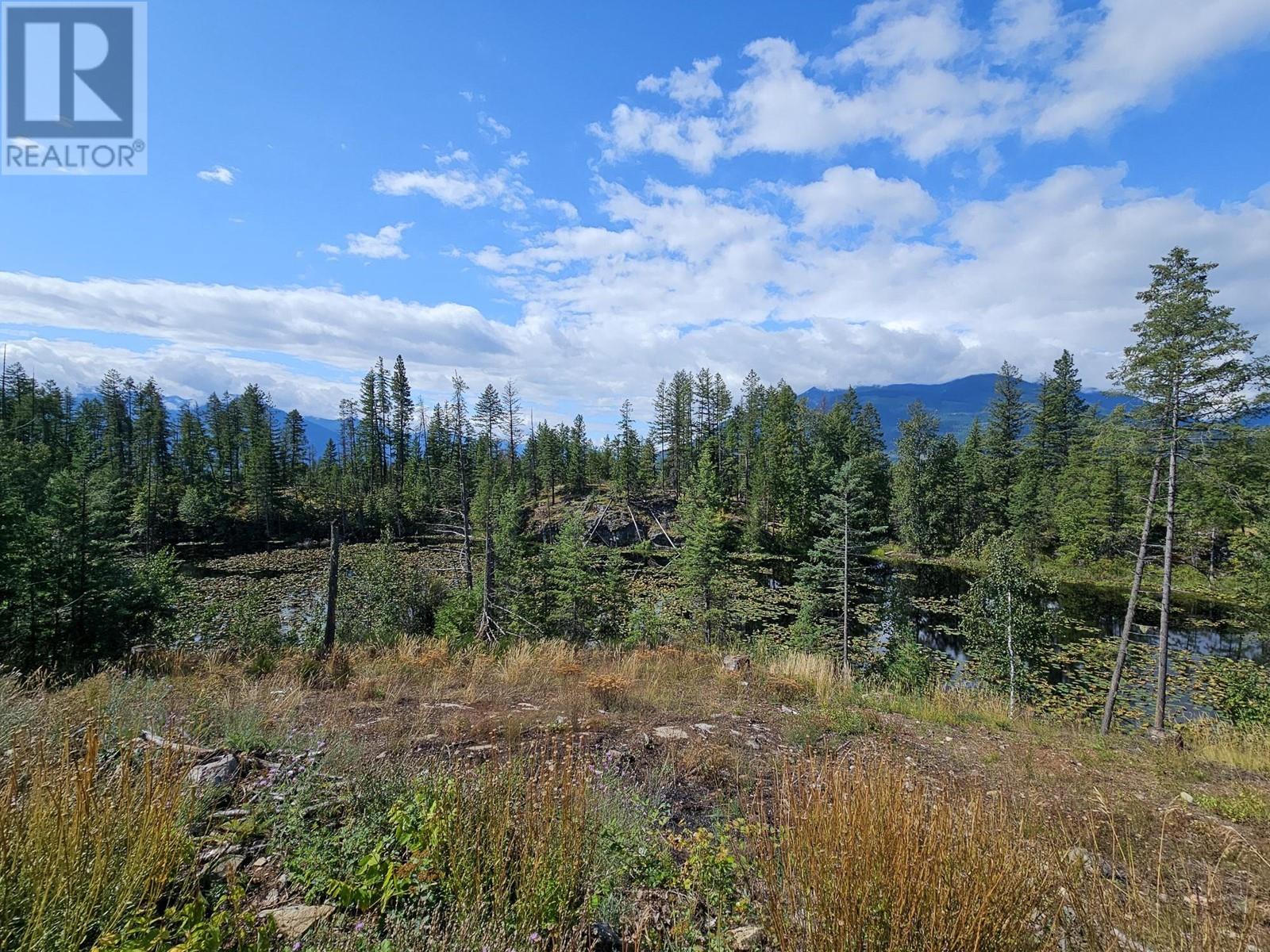 Lot 10 3a Highway, Crawford Bay, British Columbia  V0B 1E0 - Photo 2 - 10343289