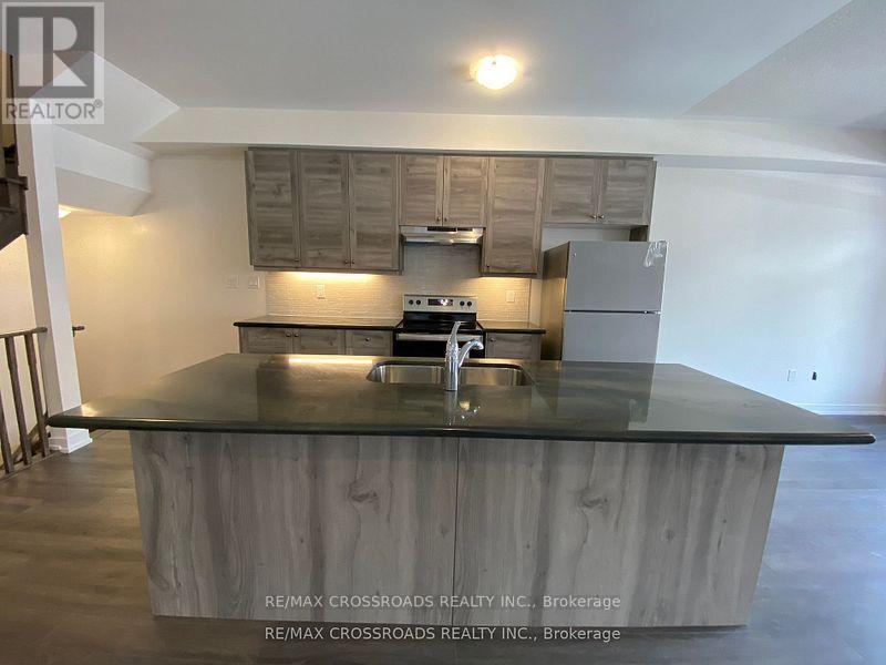 18 Riley Reed Lane, Richmond Hill, Ontario  L4S 0M3 - Photo 11 - N12081433