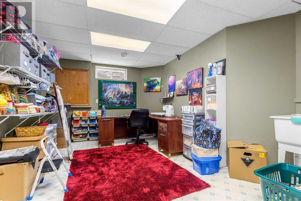 7005 61 Street, Rocky Mountain House, Alberta  T4T 1M2 - Photo 42 - A2204716