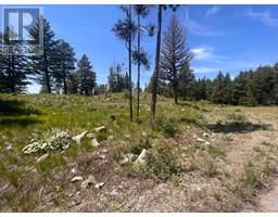 125 SASQUATCH Trail, osoyoos, British Columbia