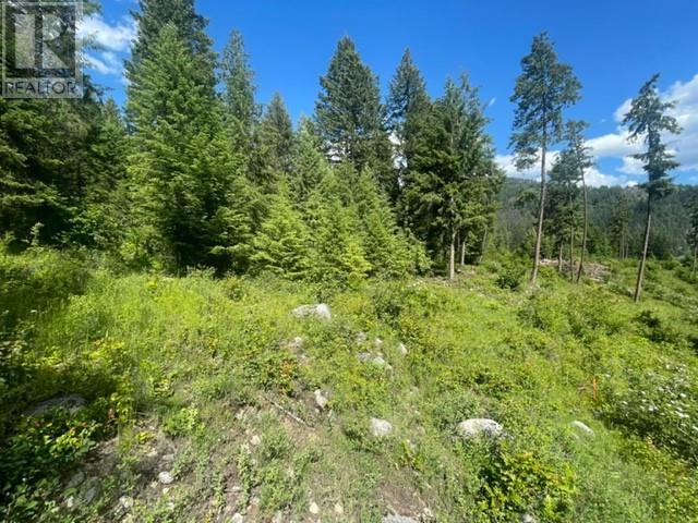Lot 7 Kensington Place, Christina Lake, British Columbia  V0H 1E0 - Photo 10 - 10343167