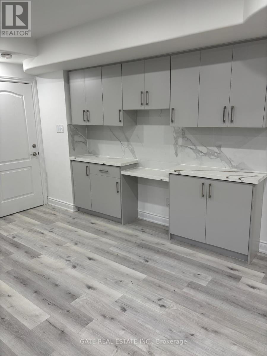 Legal Basement Sep Entran - 5321 Durie Road, Mississauga, Ontario  L5M 2C6 - Photo 12 - W12081812