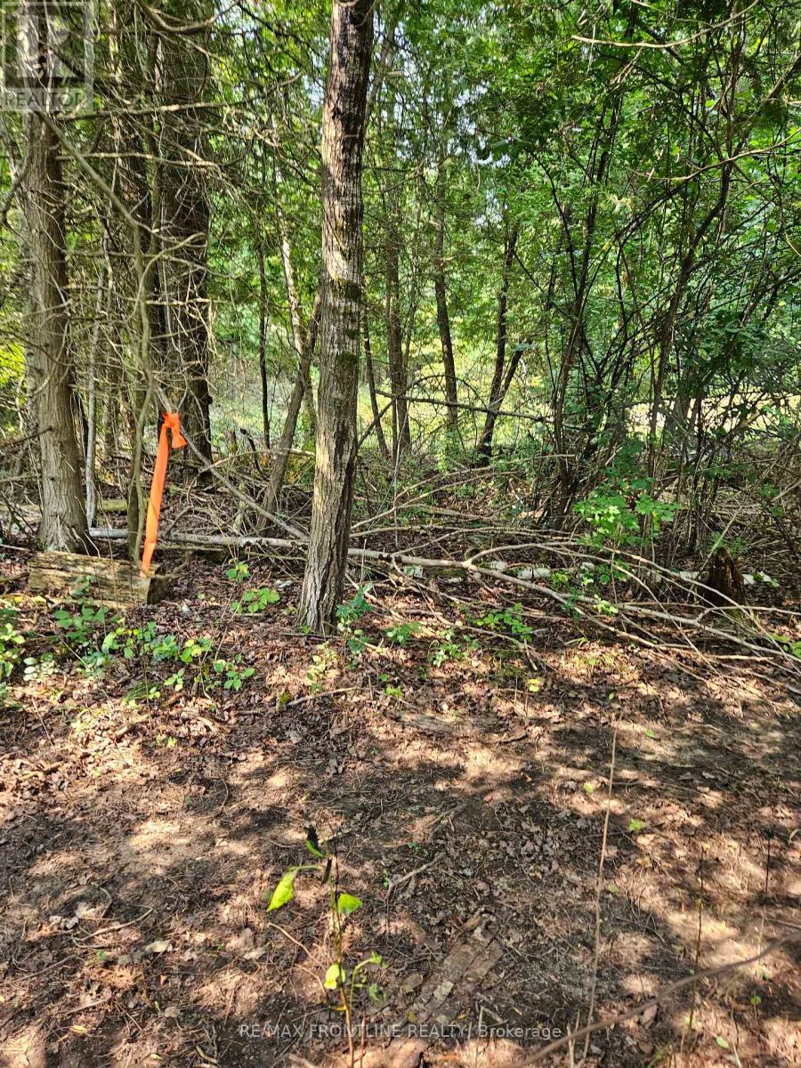 Property at WEST LOT 0 BATHURST 7TH CONCESSION image 1