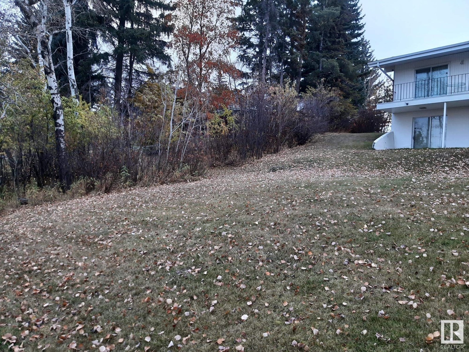 71 Westbrook Dr Nw, Edmonton, Alberta  T6J 2C8 - Photo 8 - E4430800